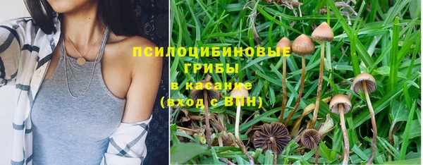 крисы Абинск